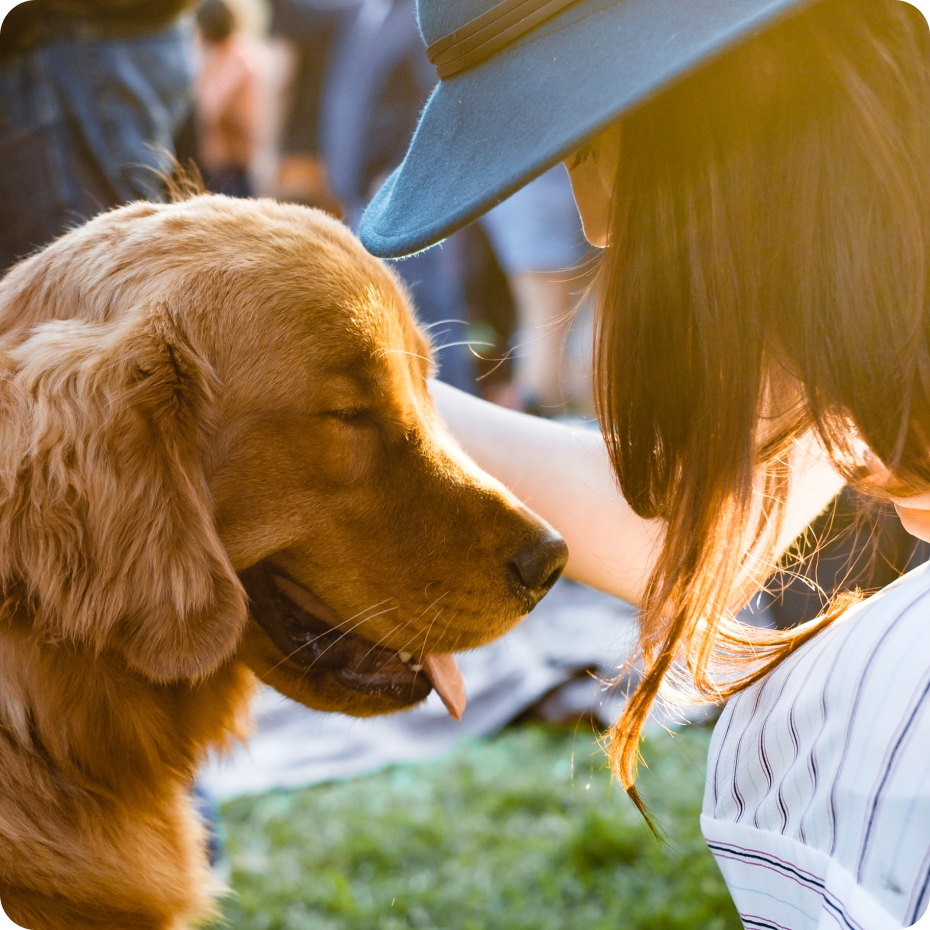 Every animal deserves a second chance